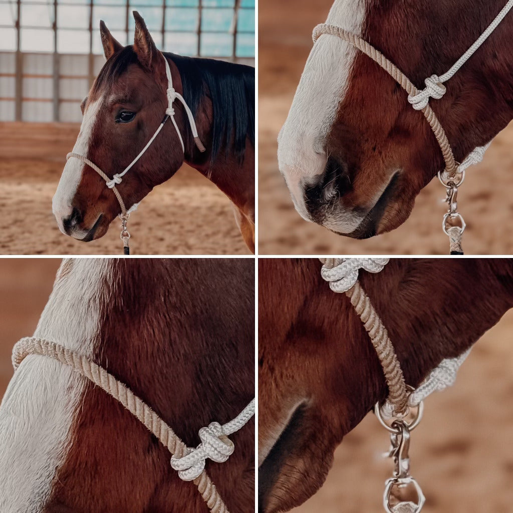 Lariat Noseband Groundwork Halter