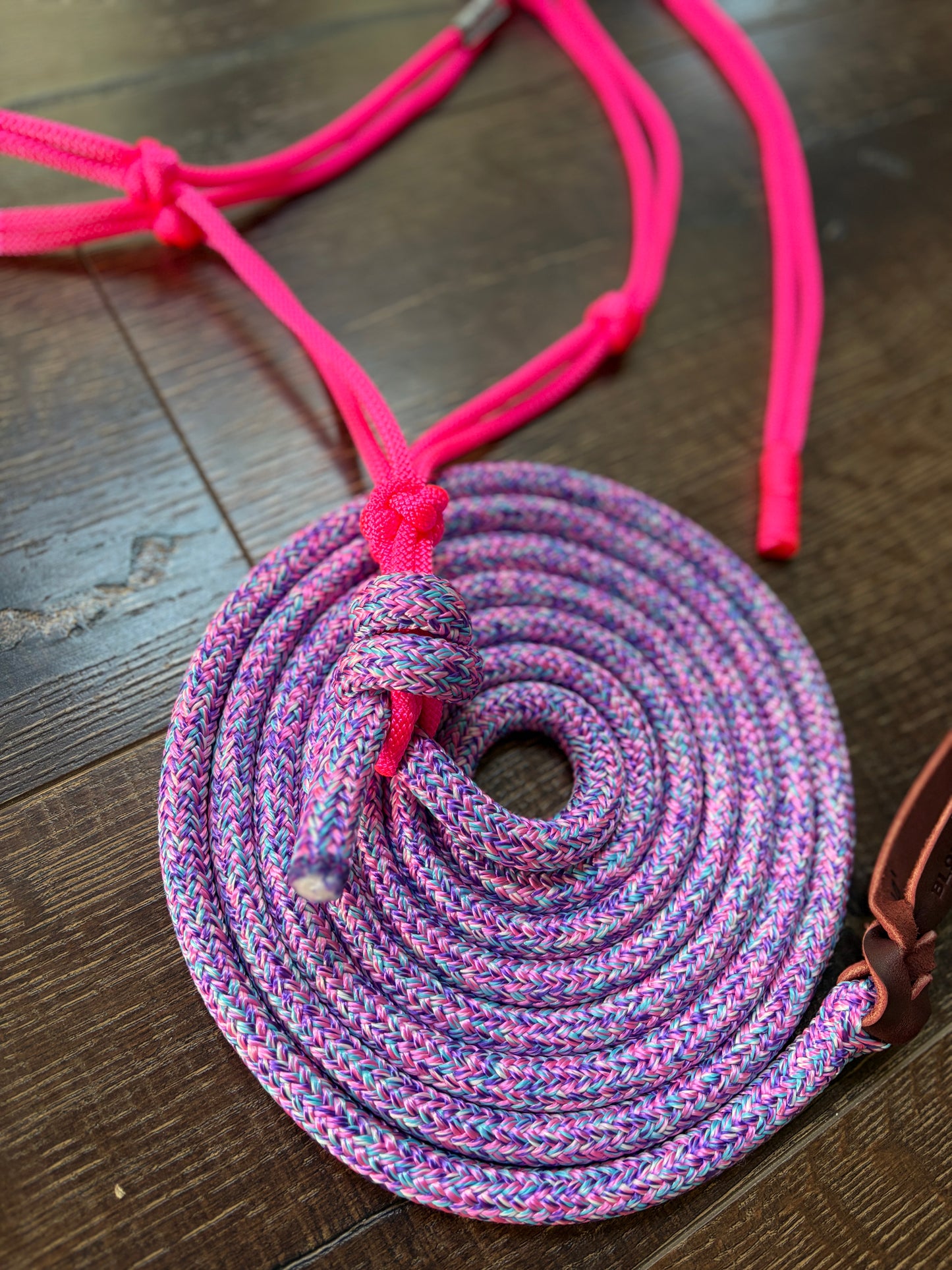Everyday Halter & Lead Set