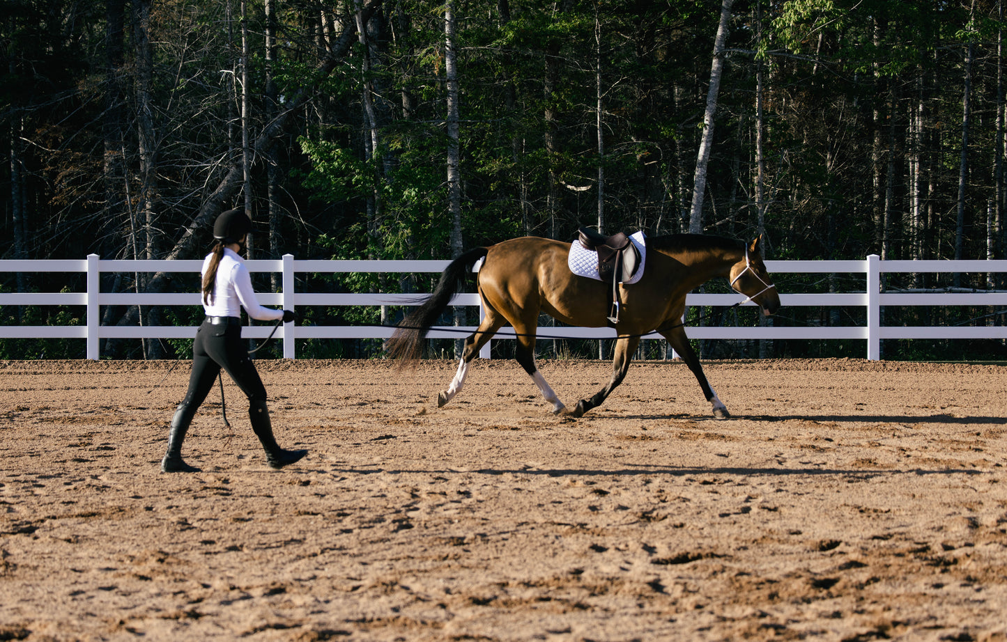 Groundwork & Lunge Lines (14' - 22')