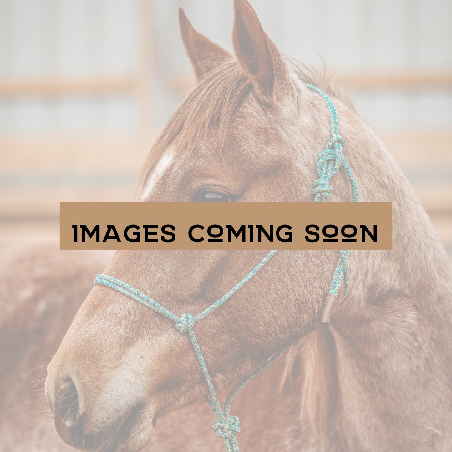 *Limited Edition* Rope Halters