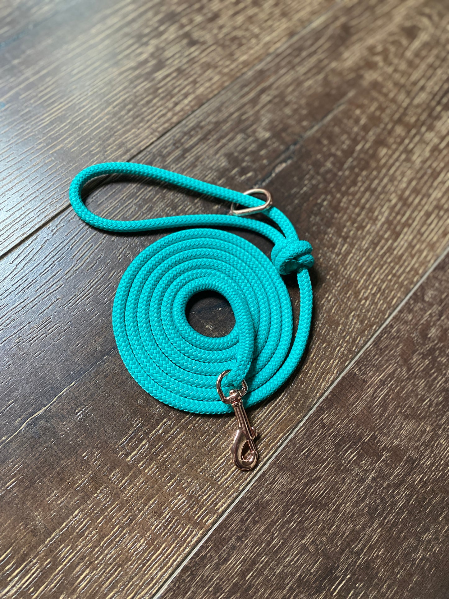 Small Dog Lead