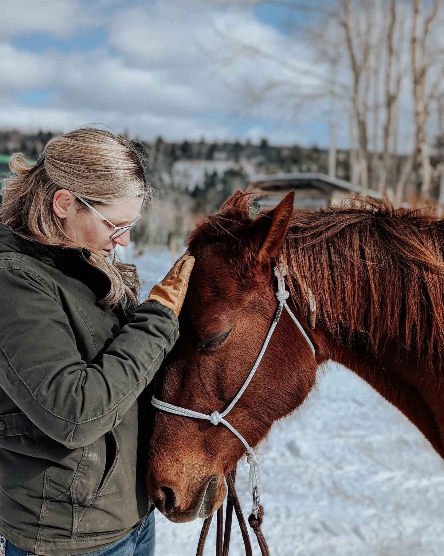 soft white rope halter on chestnut horse blondie