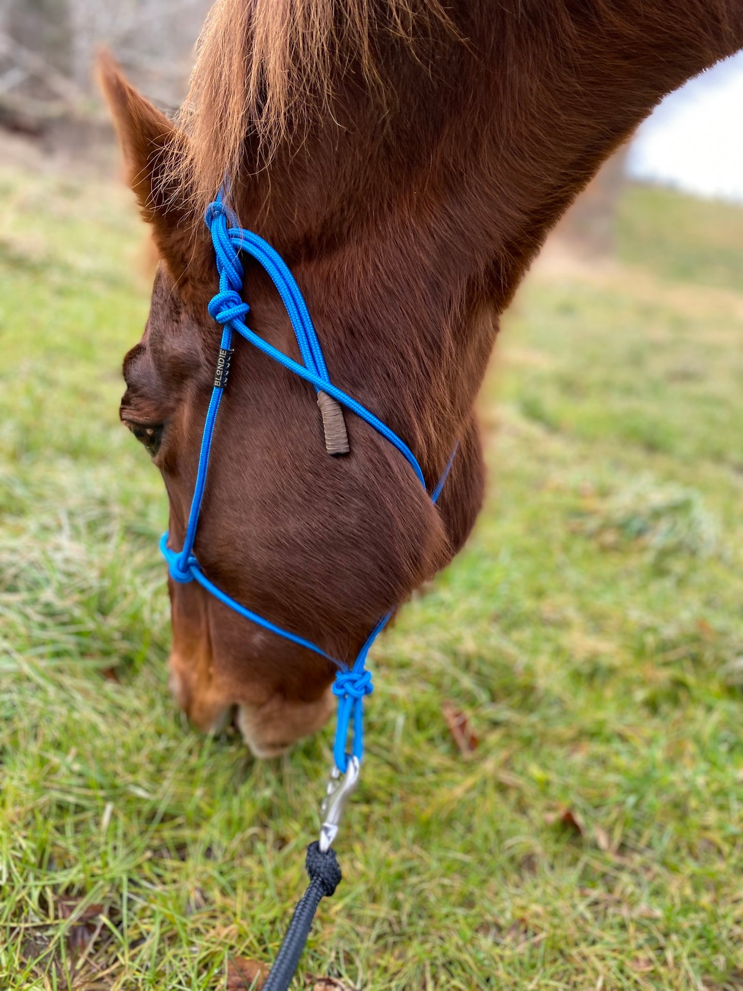 Stiff Rope Halter - LARGE HORSE SIZE
