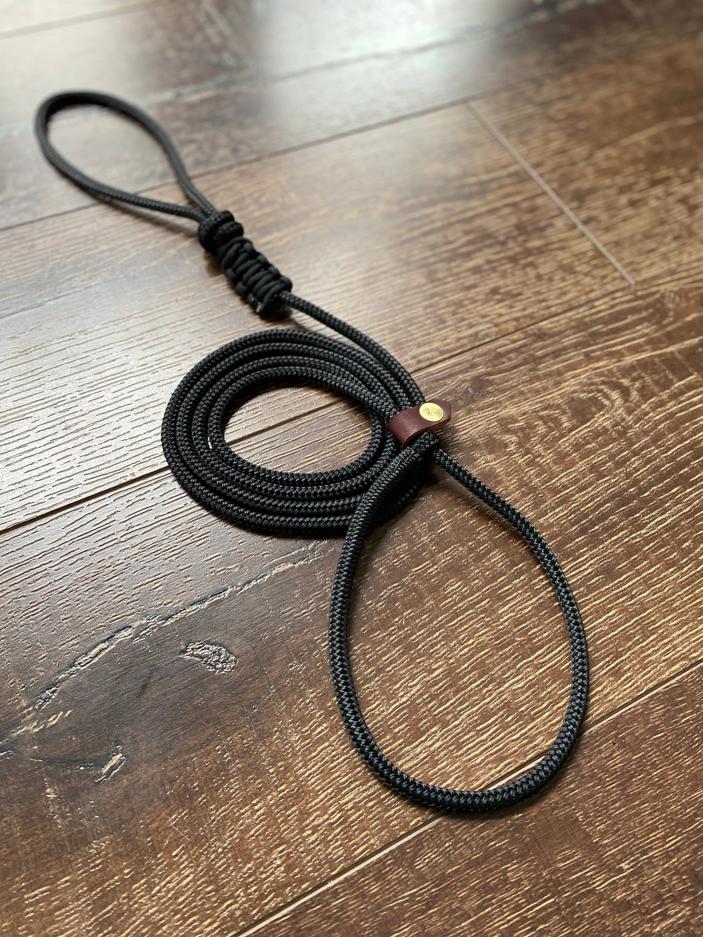 Slip Lead Dog Leash