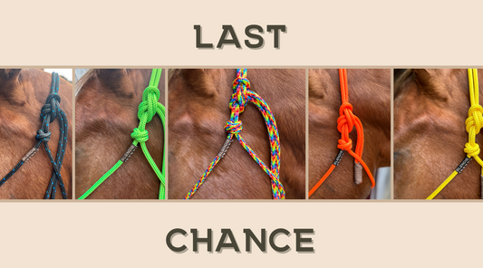 Last Chance Colors