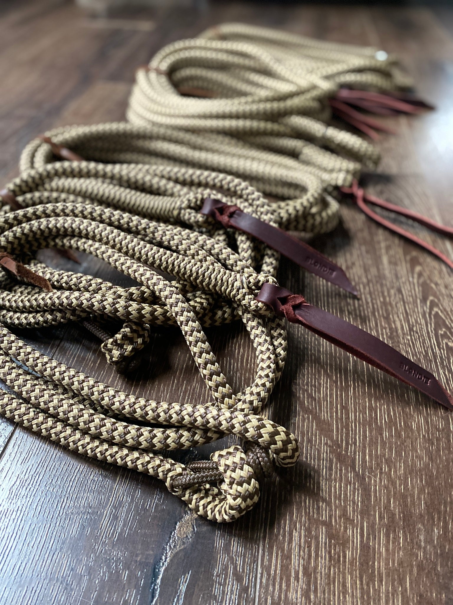 Leads and Lines – Blondie Cinches & Rope Halters