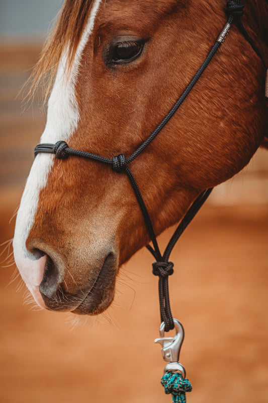 4-Knot Soft Rope Halter