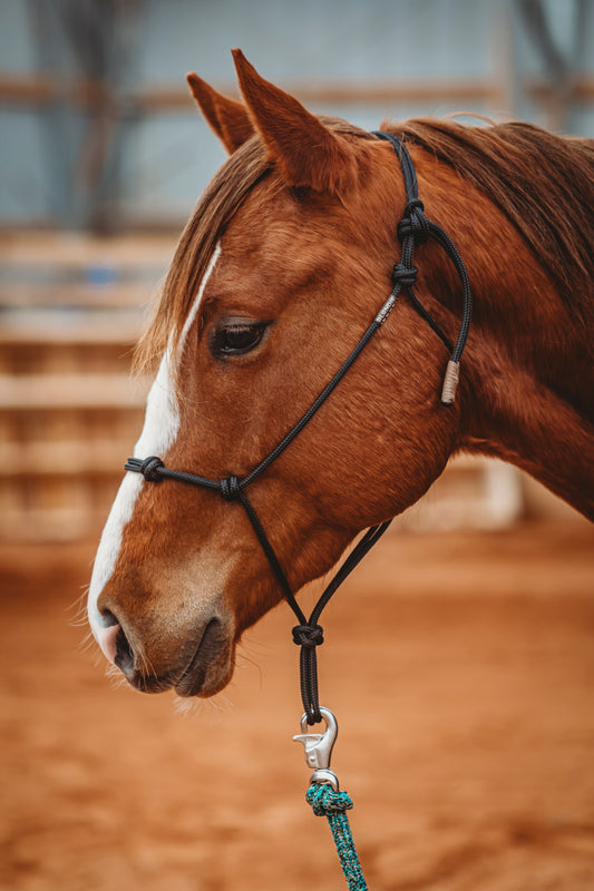 4-Knot Soft Rope Halter