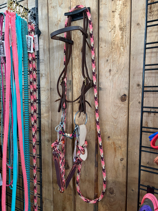 Snaffle Bit set-up