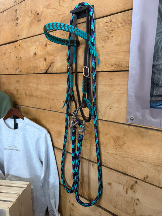 Snaffle Bit set-up