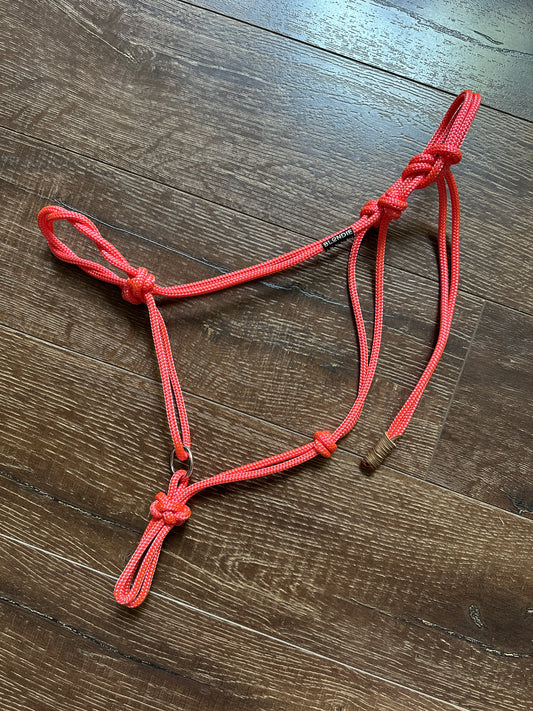 Sliding ring Halter with fiador knot