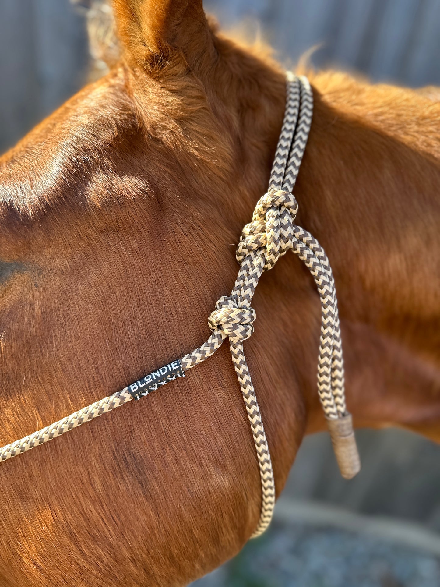 Soft Rope Halter - COB/ARAB SIZE