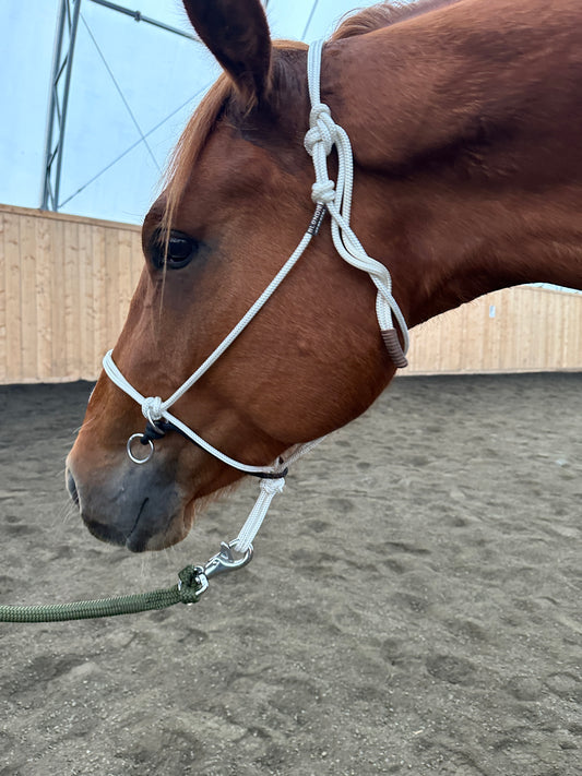 Steady Start Rope Halter