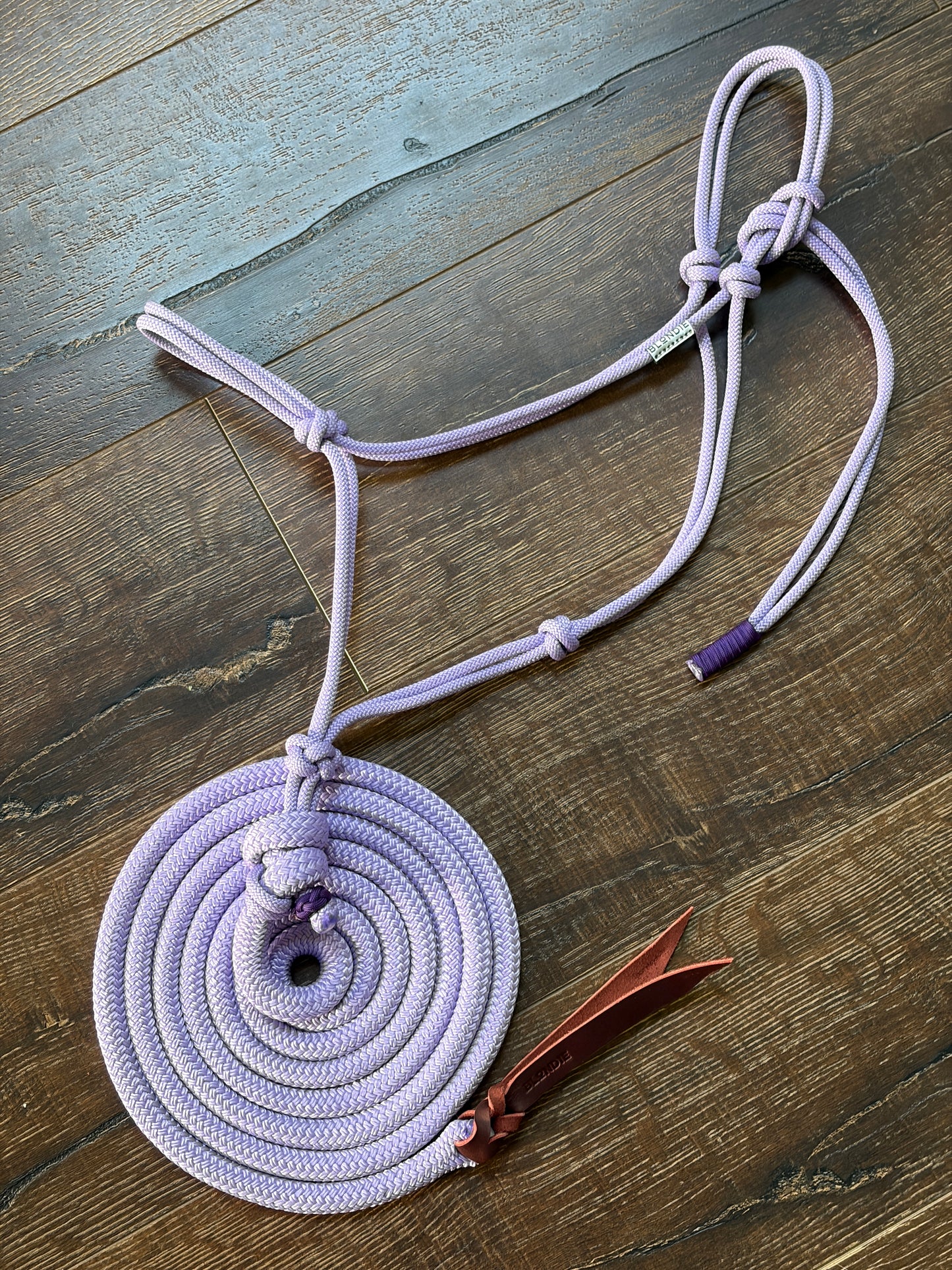 Everyday Halter & Lead Set