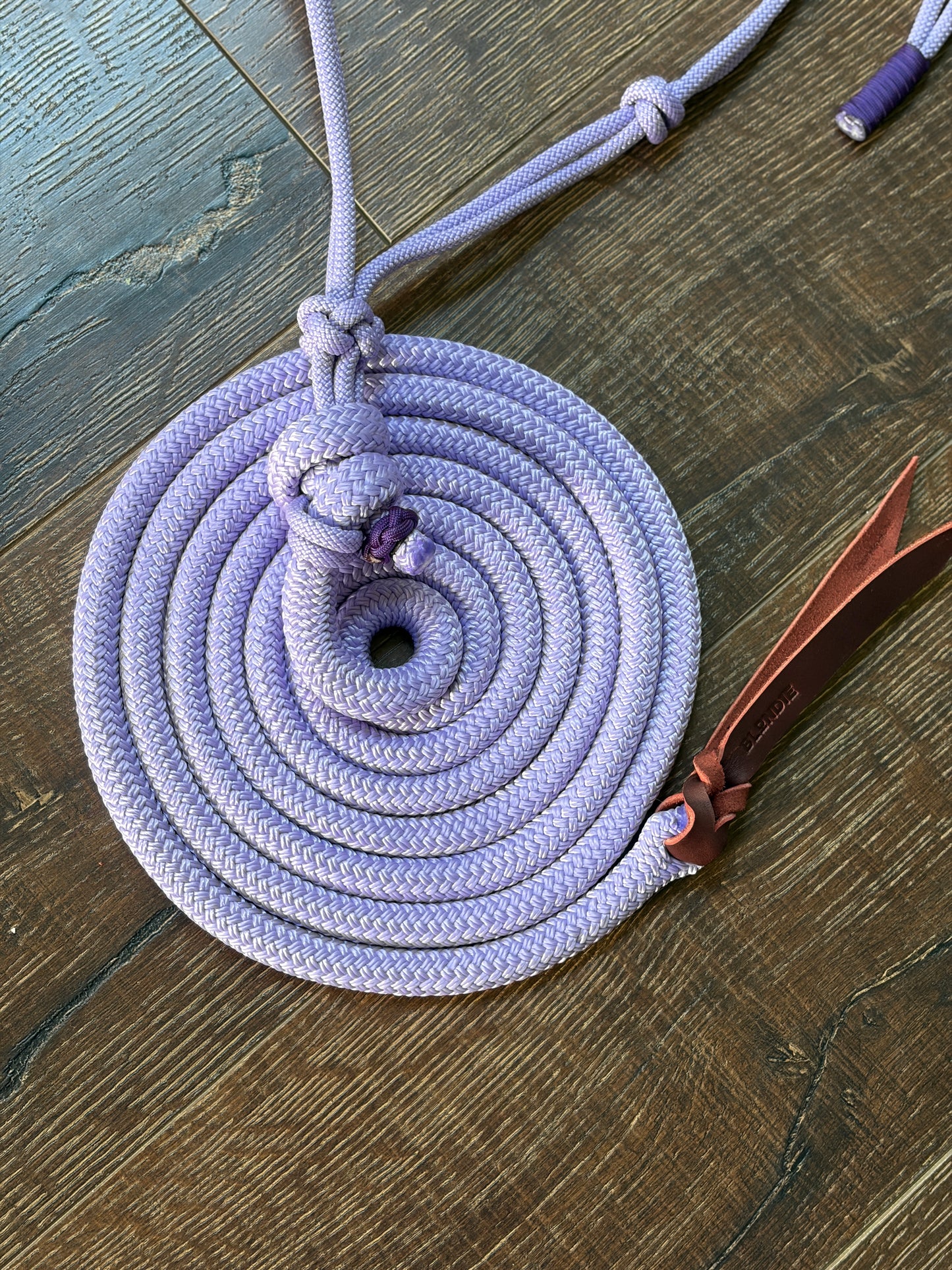 Everyday Halter & Lead Set