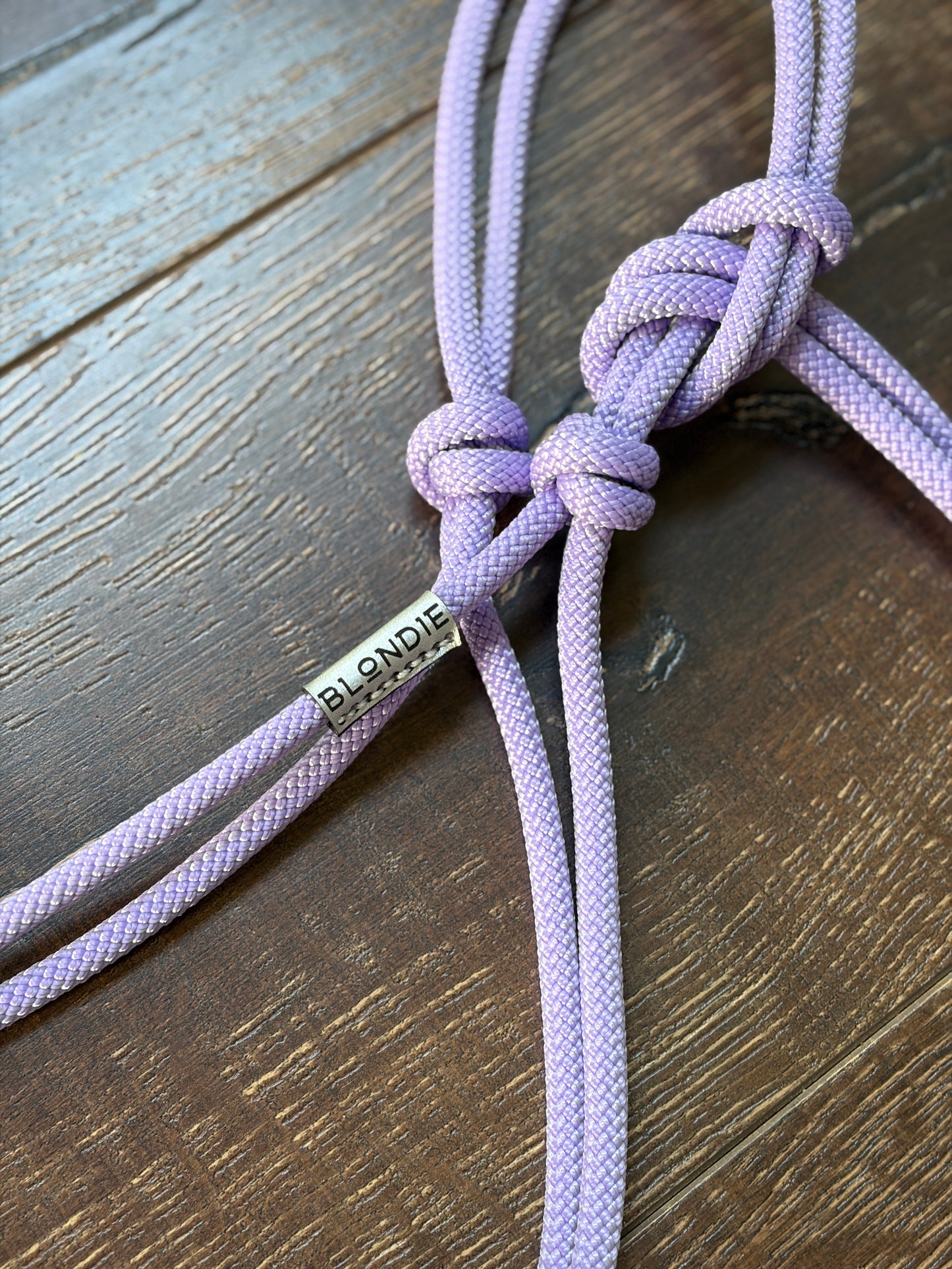 Everyday Halter & Lead Set