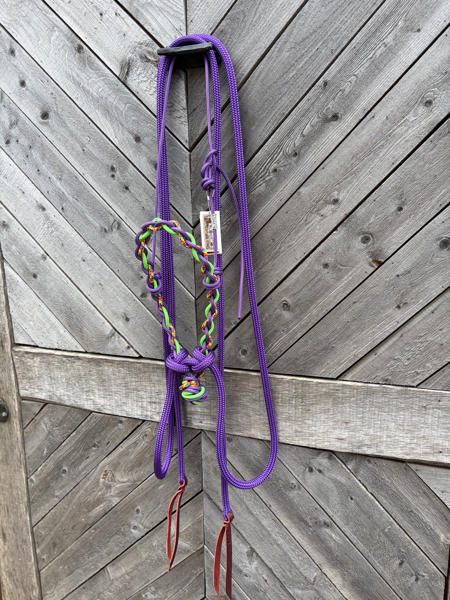 Loping Hackamore