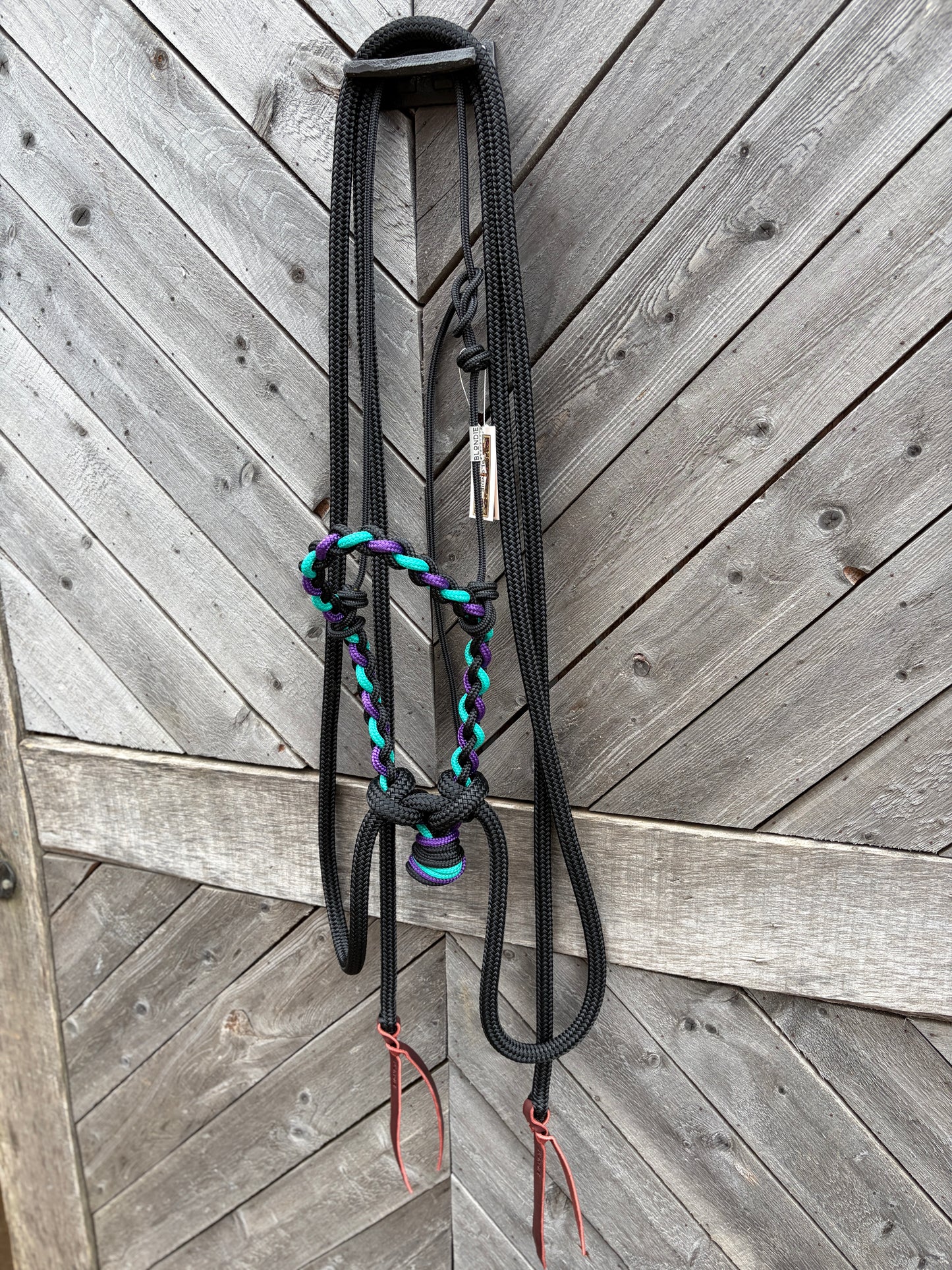 Loping Hackamore