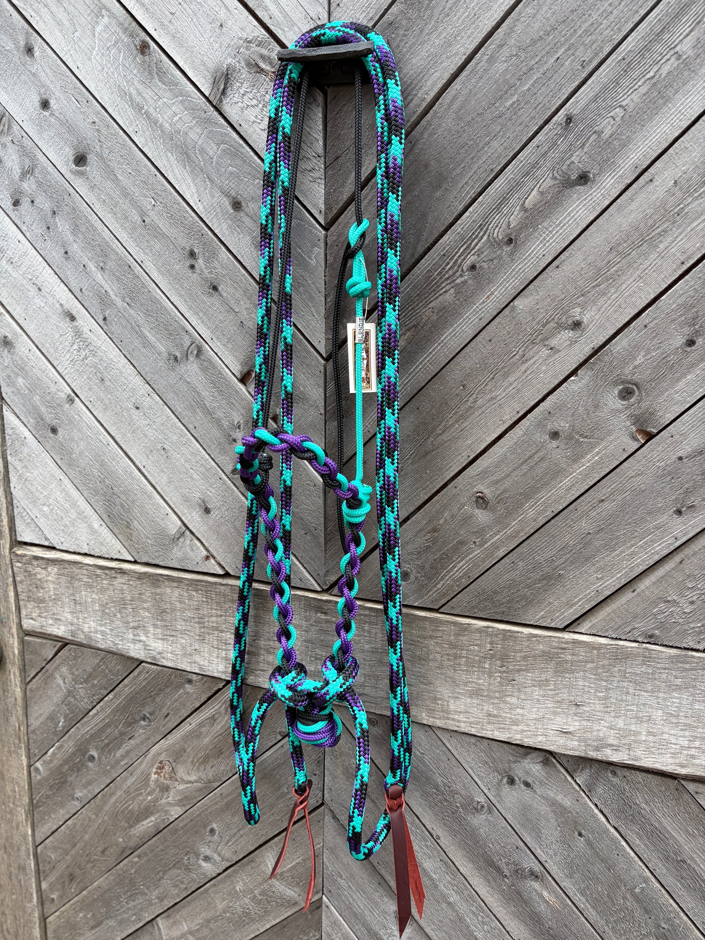 Loping Hackamore