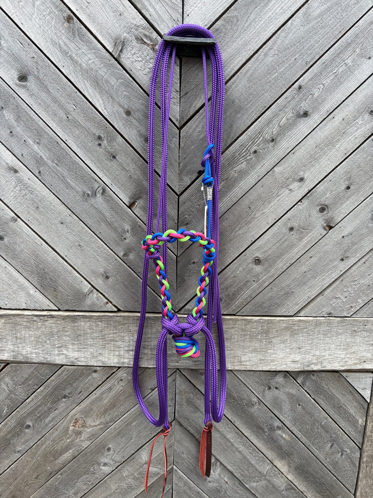 Loping Hackamore