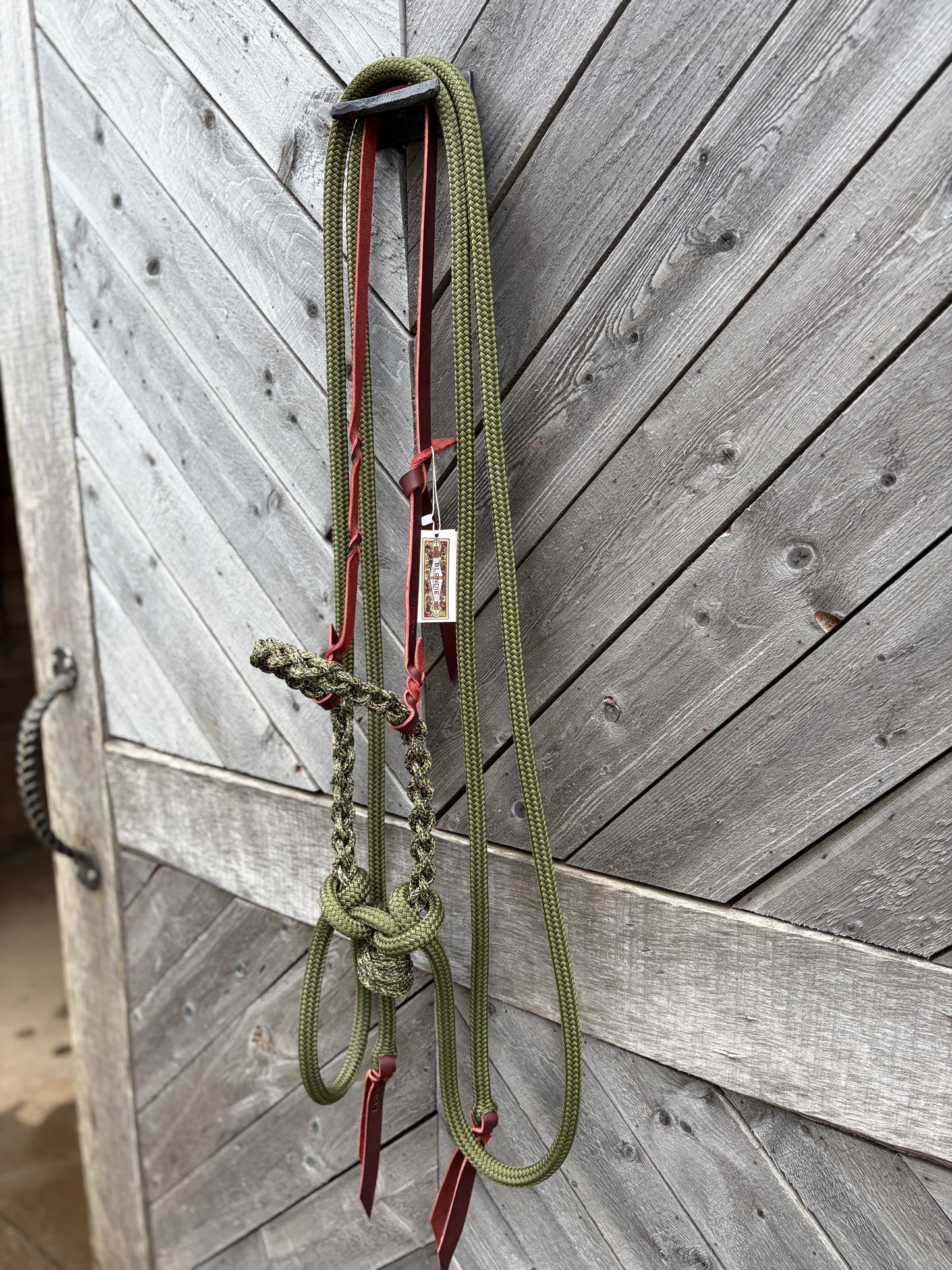 Loping Hackamore