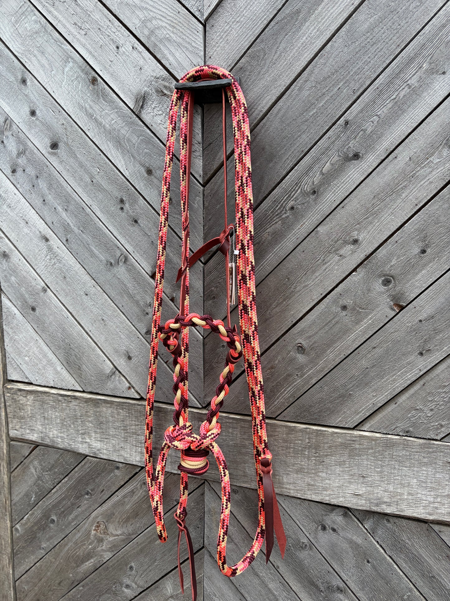 Loping Hackamore