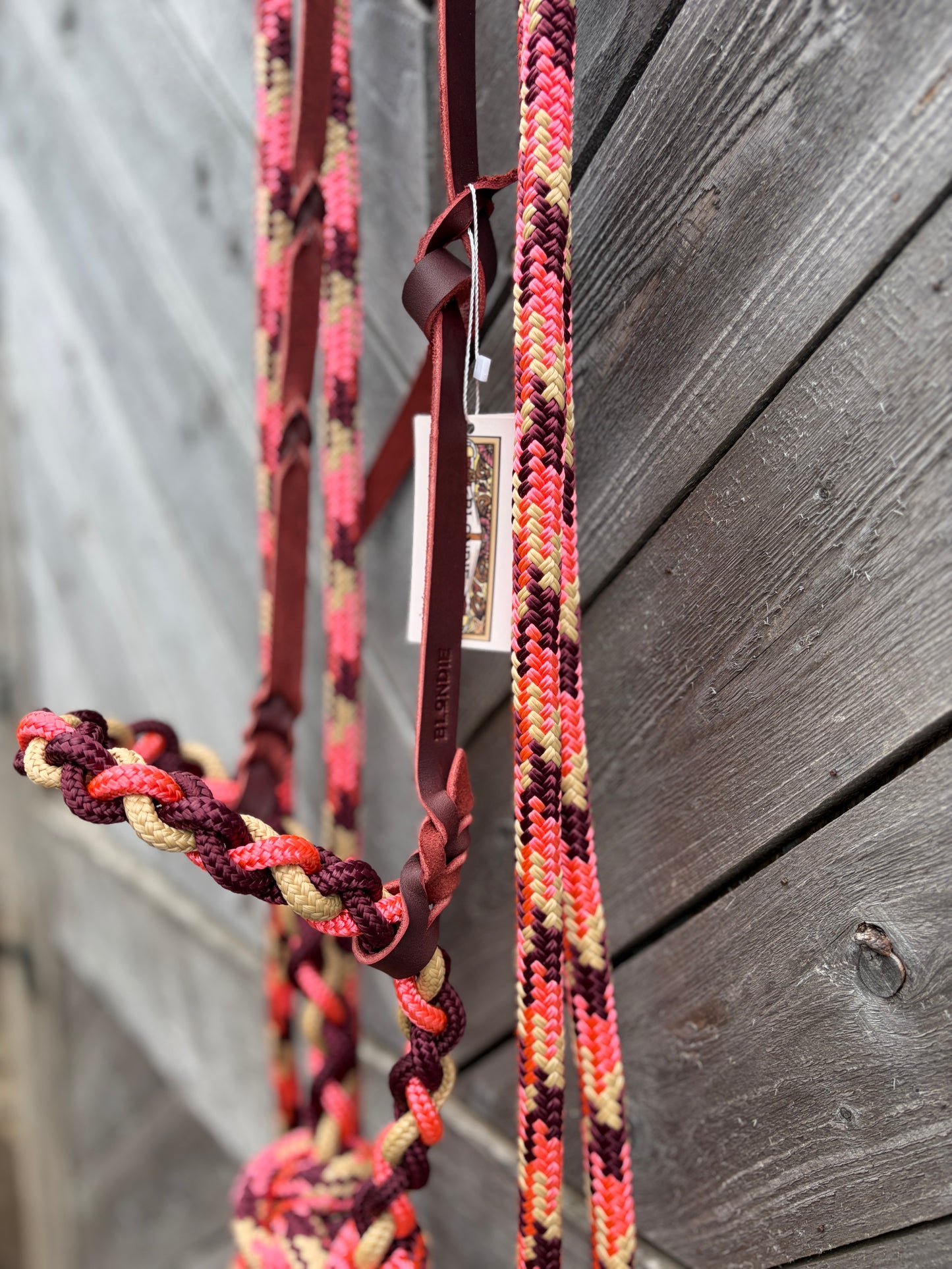 Loping Hackamore