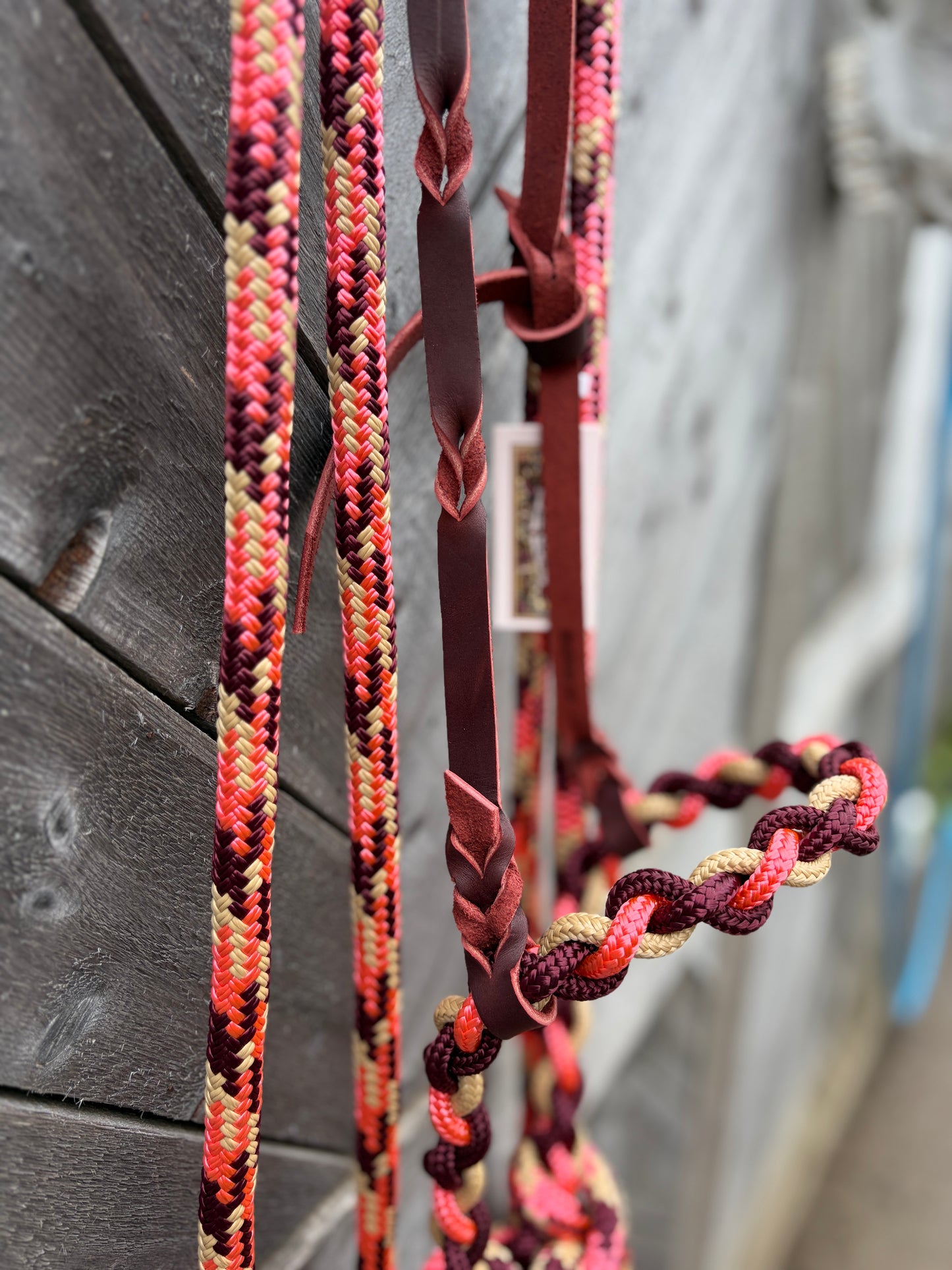 Loping Hackamore