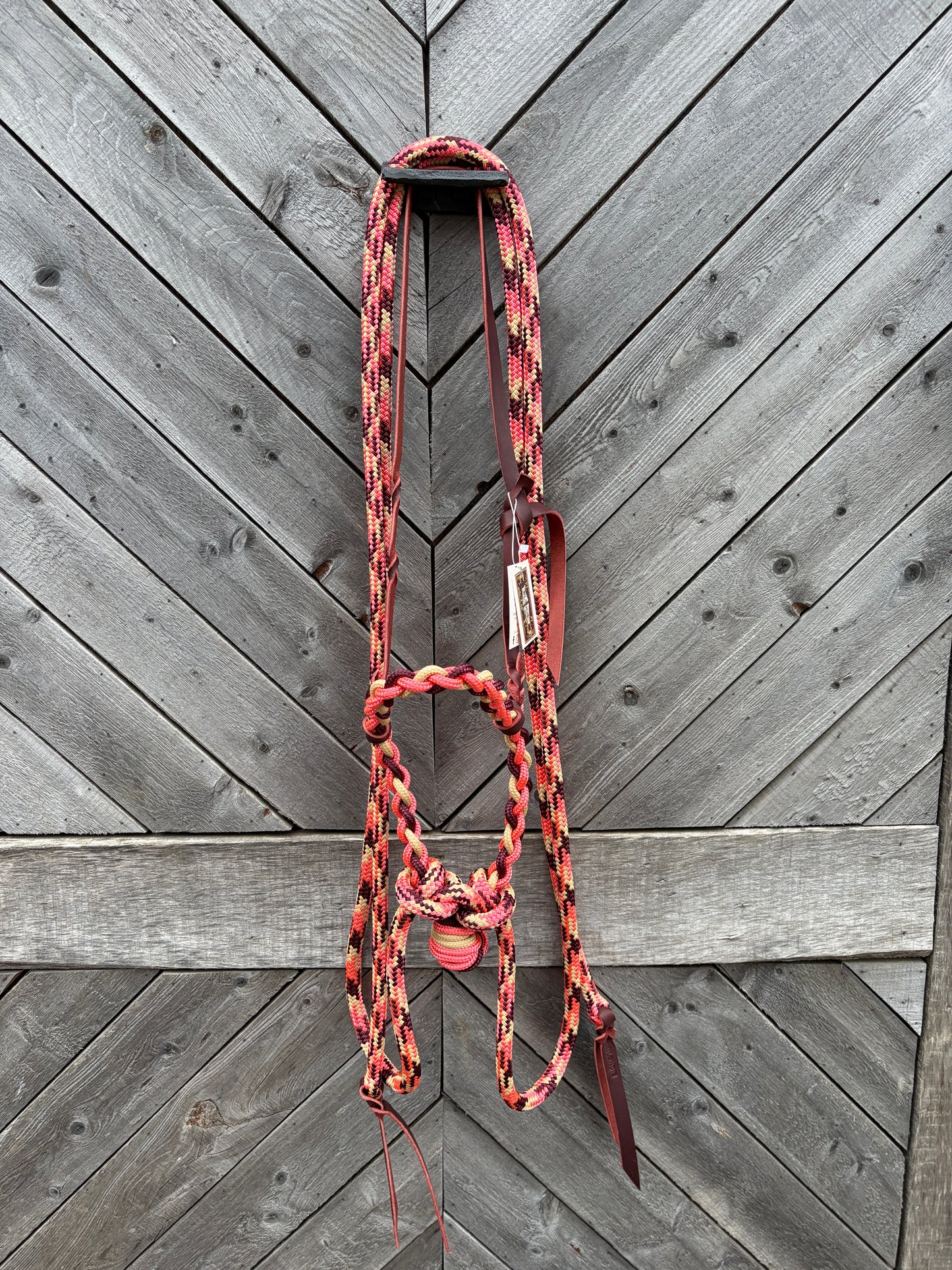 Loping Hackamore
