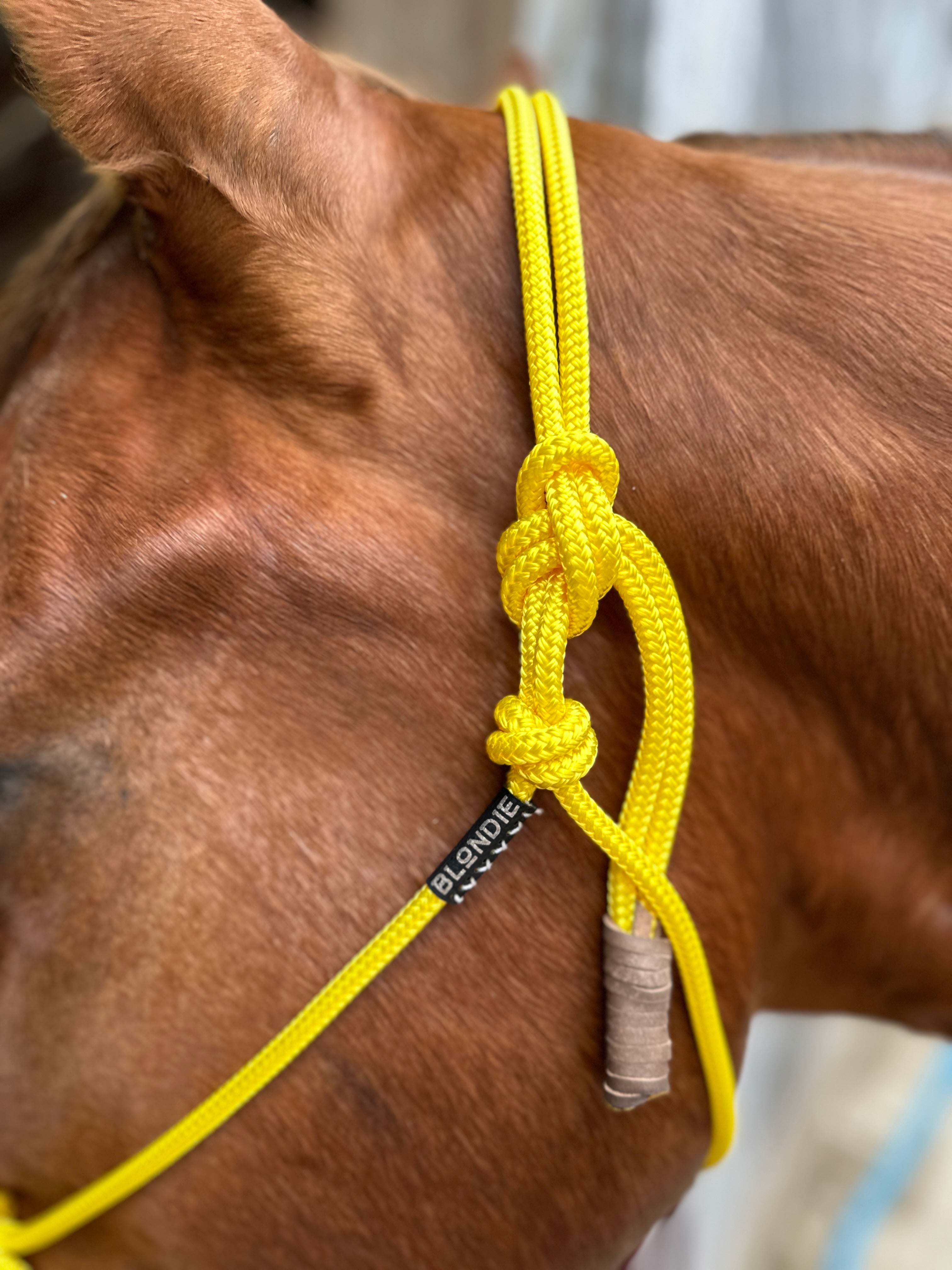 Best Sellers – Blondie Cinches & Rope Halters