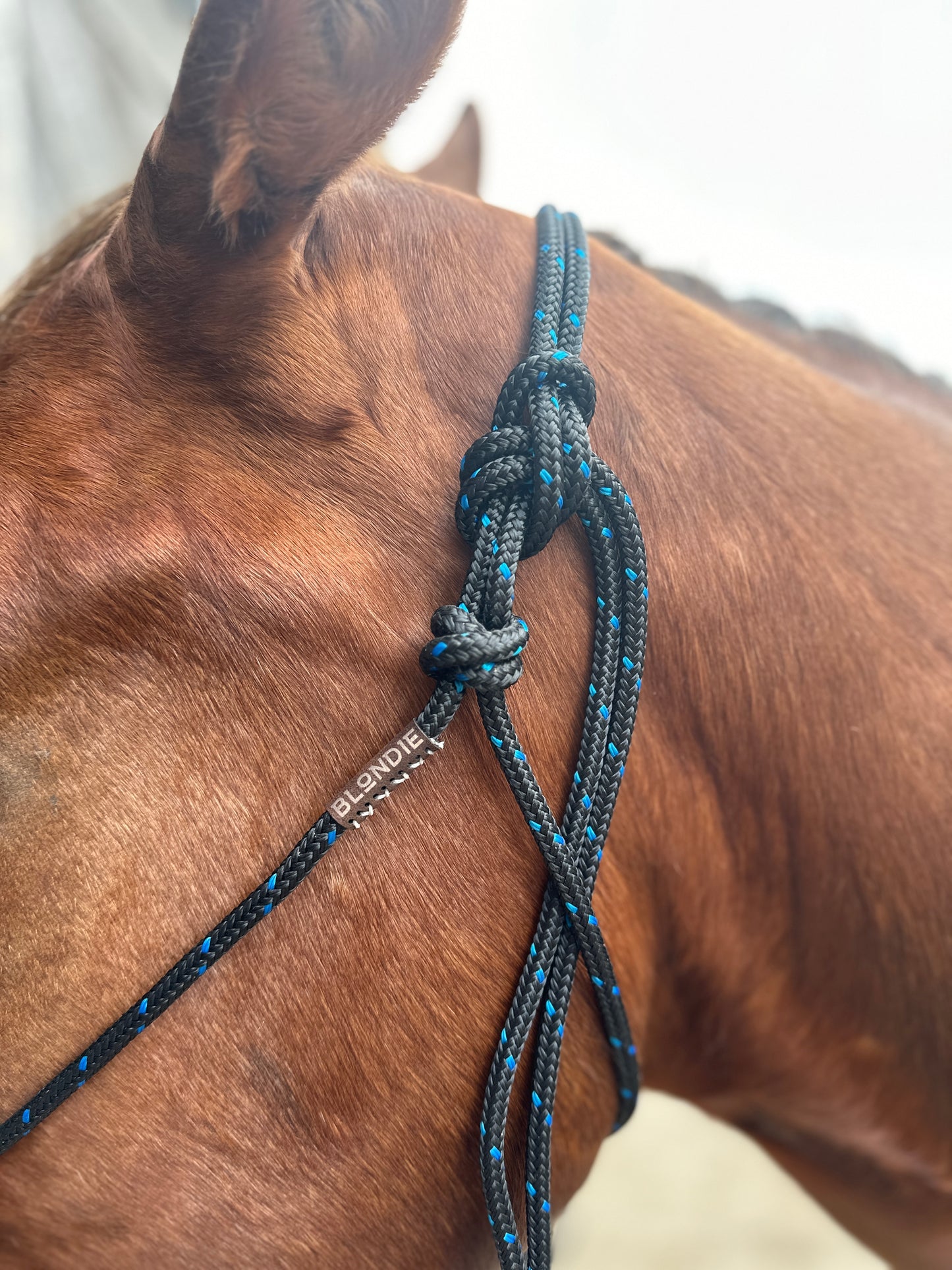 Last Chance - Stiff Rope Halters