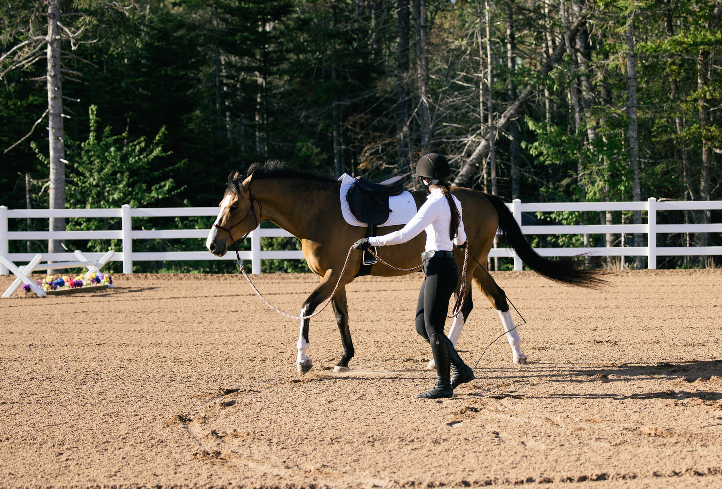 Groundwork & Lunge Lines (14' - 22')