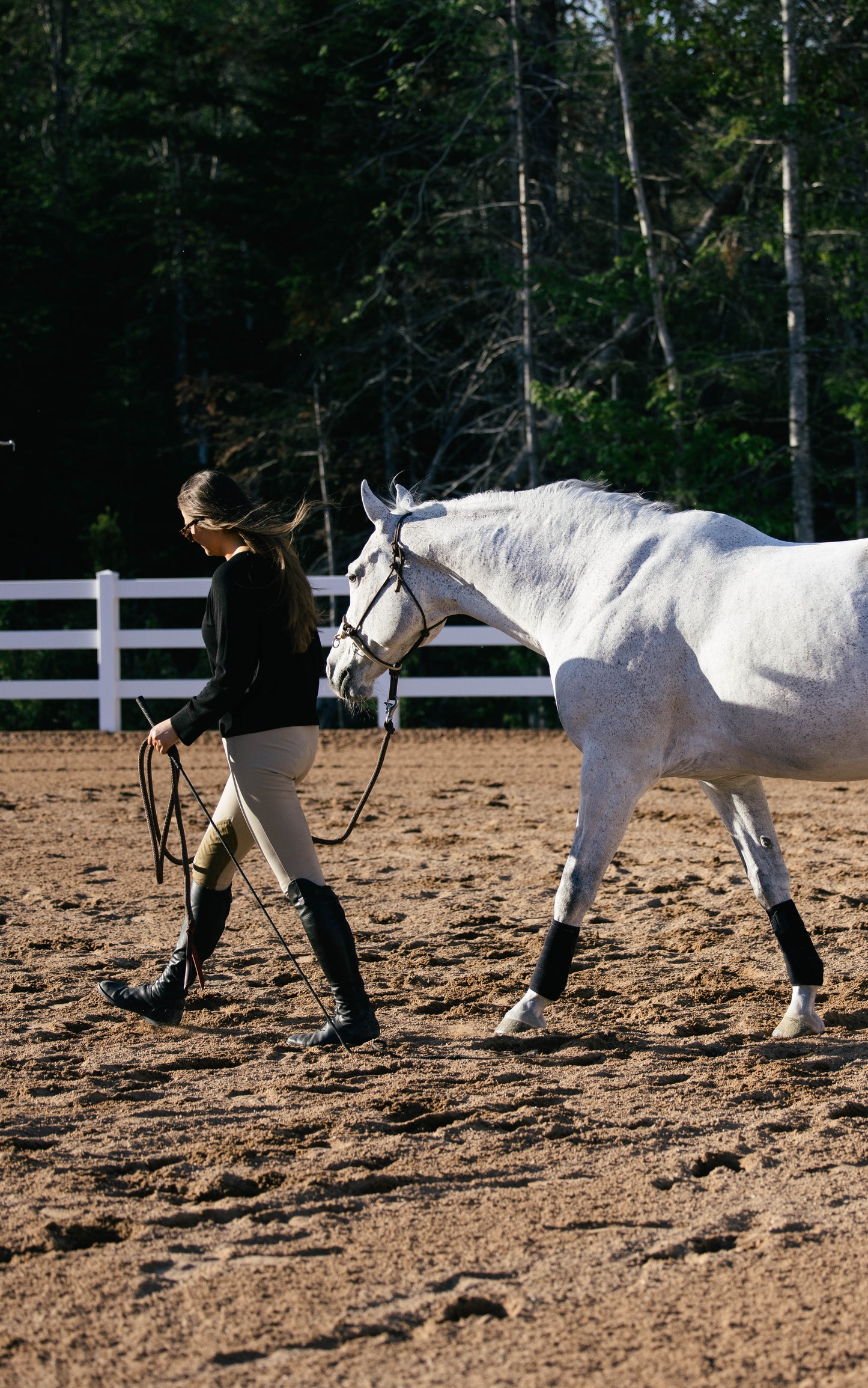 Woman leading a white horse in an outdoor setting with trees and a fence in the background.