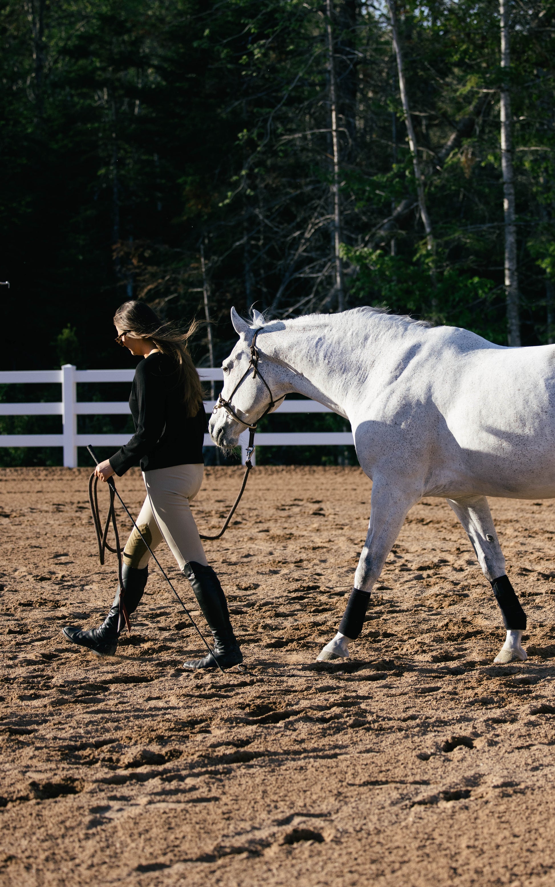 Woman leading a white horse in an outdoor setting with trees and a fence in the background.