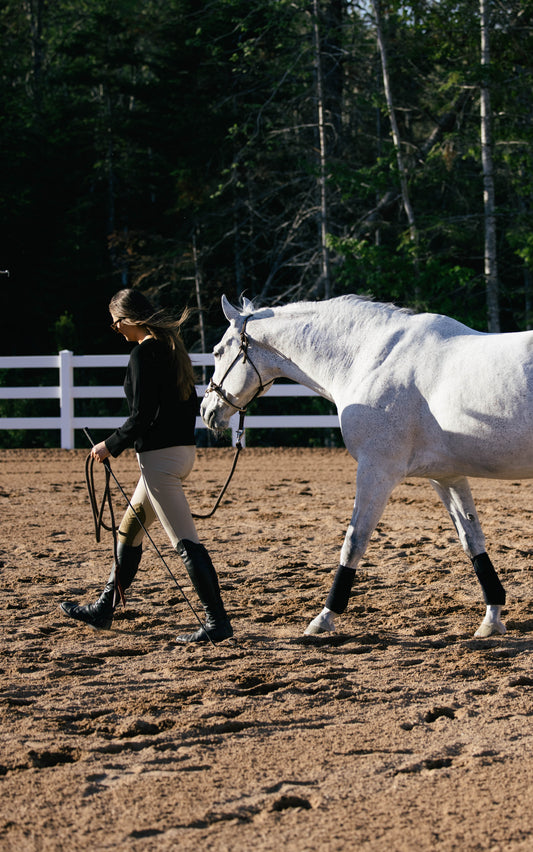 Woman leading a white horse in an outdoor setting with trees and a fence in the background.