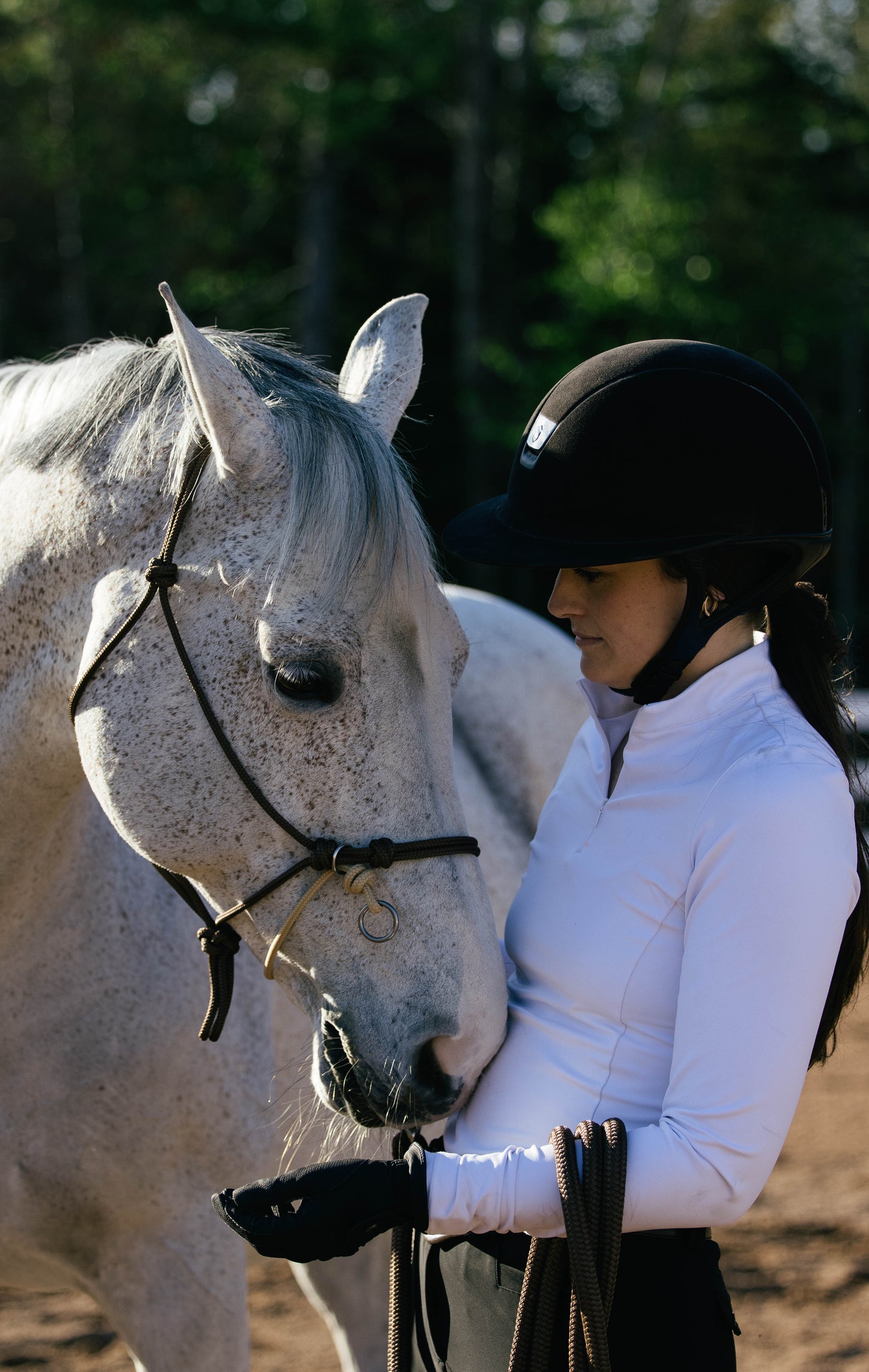 Steady Start Rope Halter
