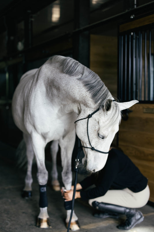 Soft Rope Halter - COB/ARAB SIZE