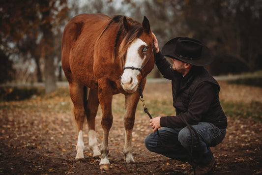 Stiff 4-Knot Rope Halter