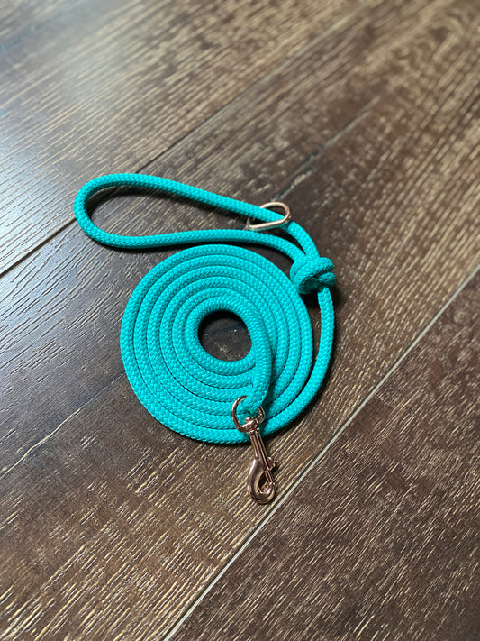 Small Dog Lead