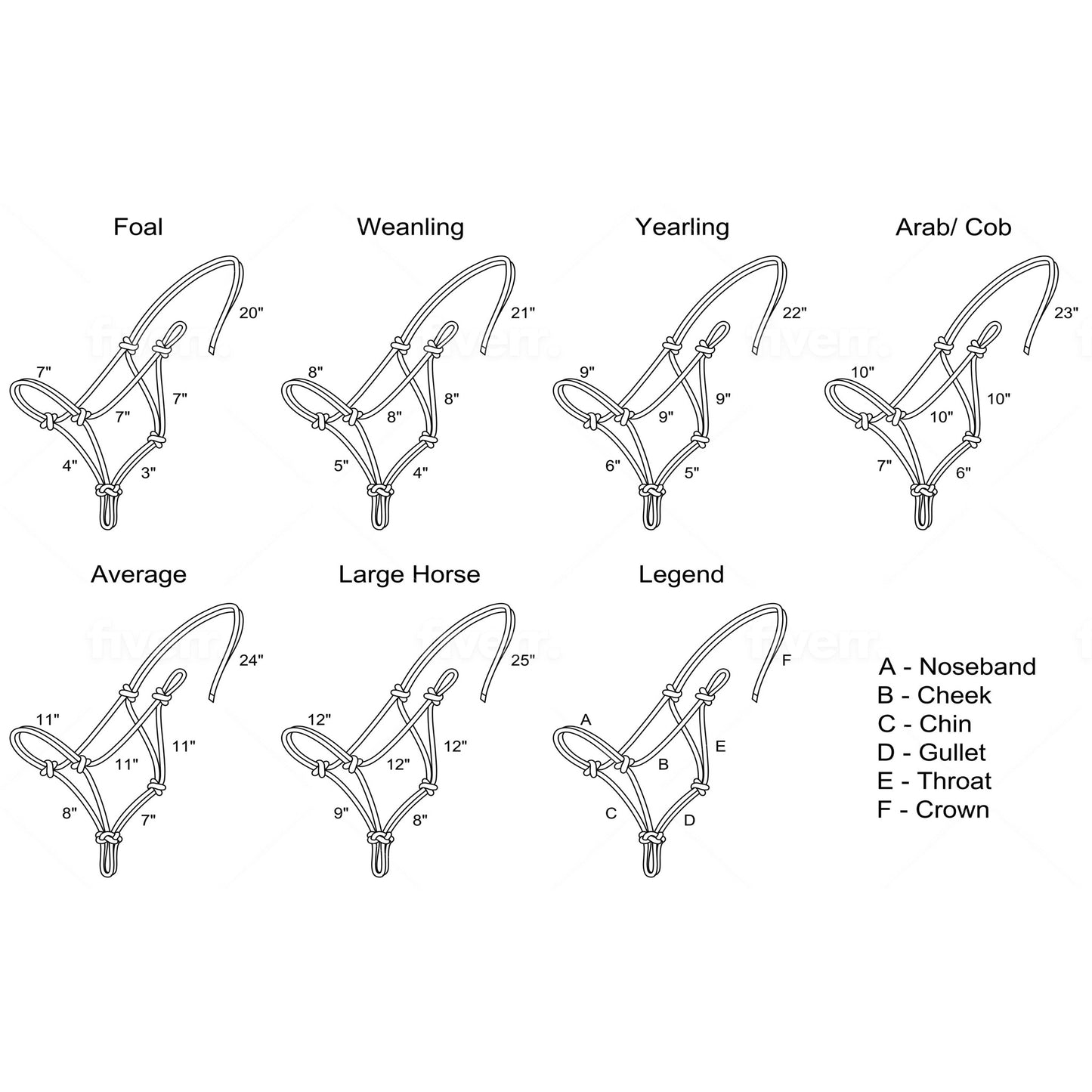 blondie rope halter size chart