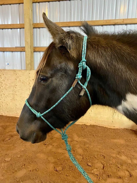 Soft Rope Halter - YEARLING SIZE