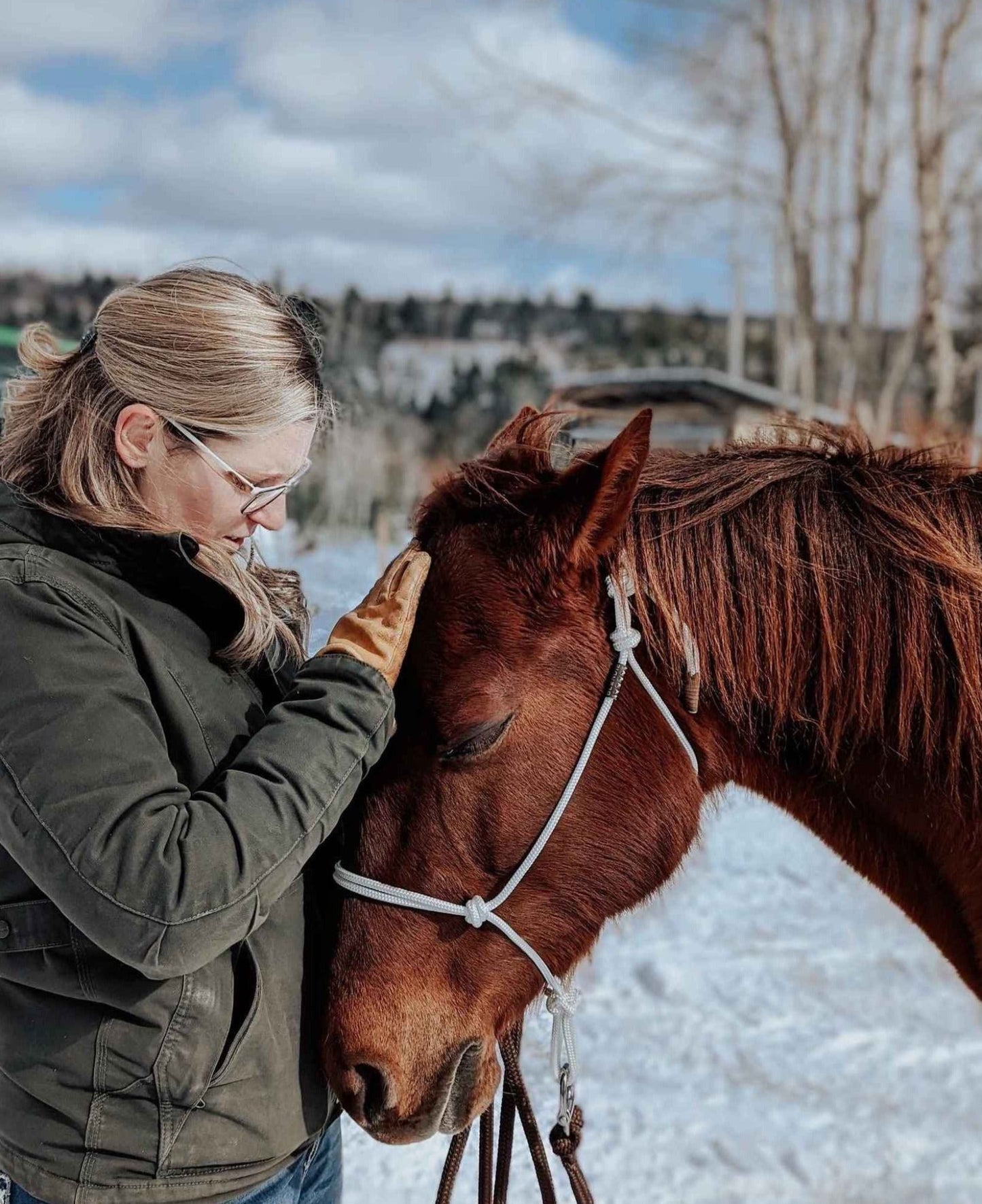 soft white rope halter chestnut horse