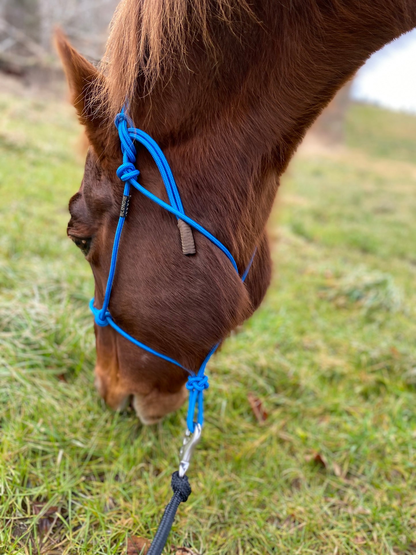 Stiff Rope Halter - WEANLING SIZE