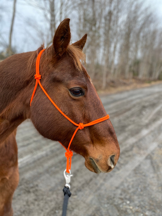 Soft Rope Halter - YEARLING SIZE