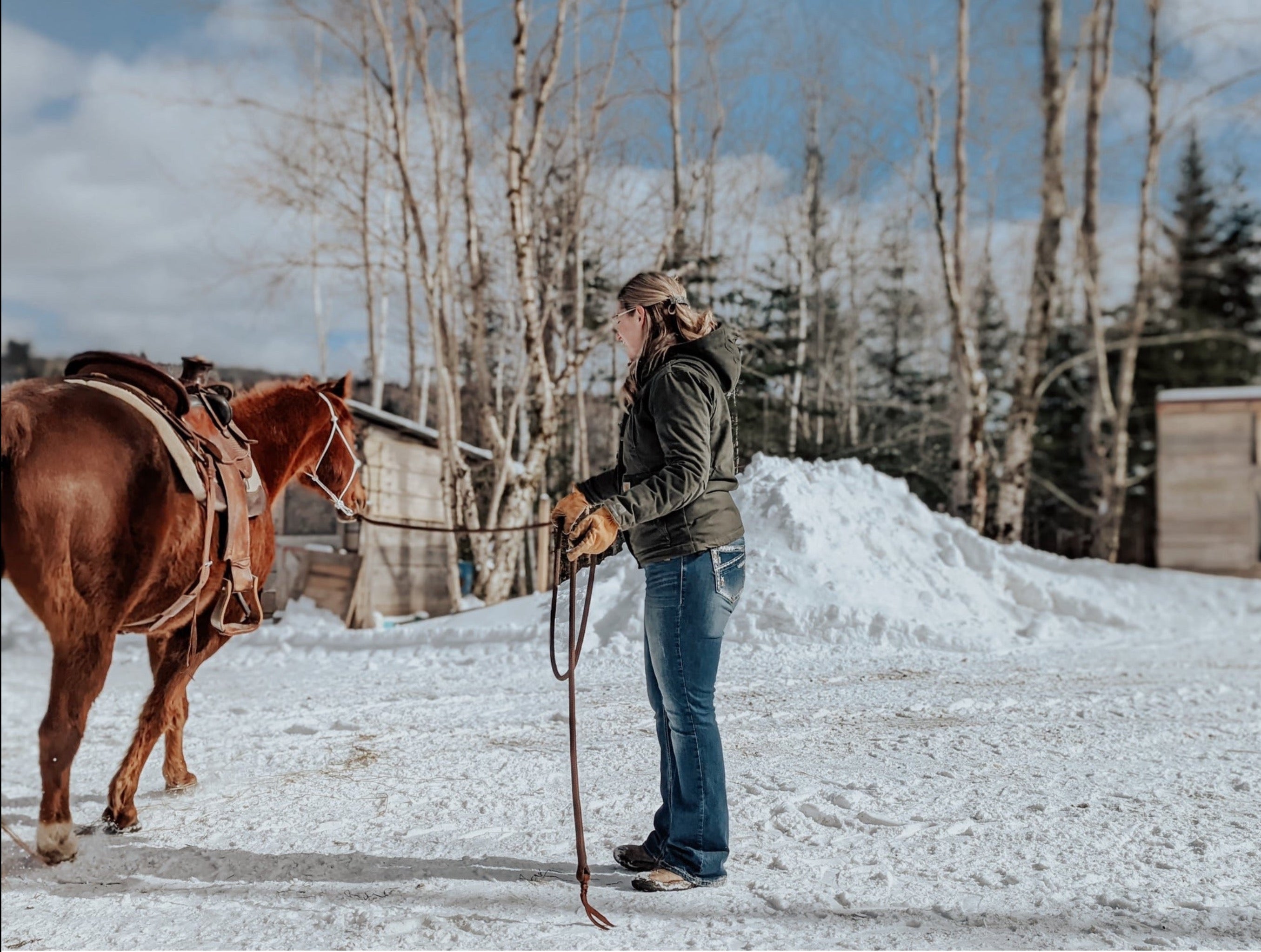 Groundwork & Lunge Lines Blondie Cinches & Rope Halters