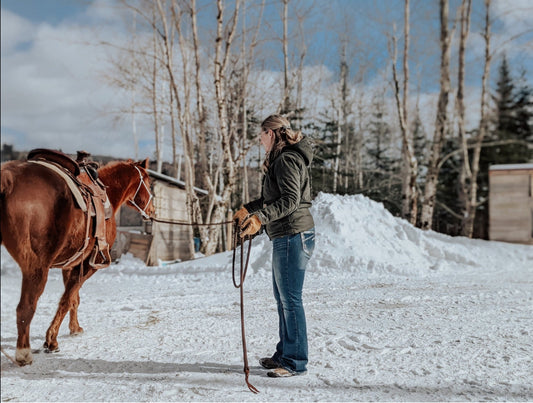 Brown blondie yacht rope lead line winter chestnut horse, ground work, quarter horse, natural horsemanship tools