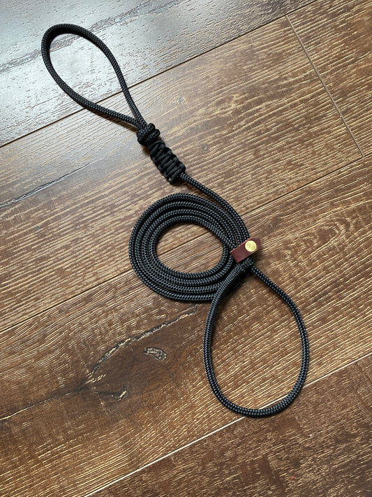 Slip Lead Dog Leash