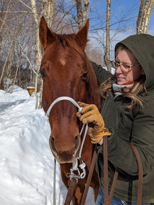 soft white blondie rope halter chestnut horse winter