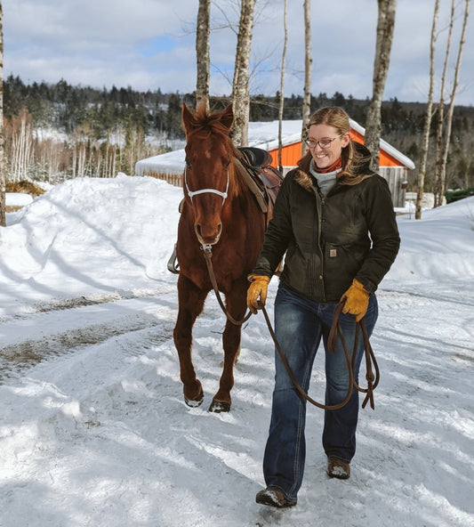 Chesnut horse being lead in winter, blondie yacht rope lead line, horse training line, horse lead line, horse lead rope, marine rope, natural horsemanship tools