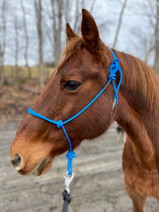 Stiff Rope Halter - FOAL SIZE